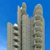 Waves India