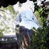 Hutong Bubble