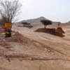 Al Ain Wildlife Resort design by EDSA Landscape Architects