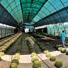 Al Ain Wildlife Park & Resort