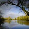 University Of Limerick North Bank Pedestrian Bridge