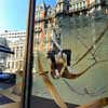 Harvey Nichols Shop London