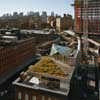 Diane von Furstenberg HQ NYC