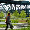 Long Island City Landscape Architecture
