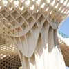 Seville Parasol