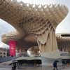 Seville Parasol