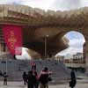 Seville Parasol