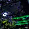 Darling Quarter Luminous Sydney