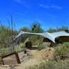 Brittlebush Taliesin Frank Lloyd Wright School of Architecture Wisconsin