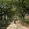 Landscape Architecture Texas