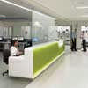 Center for Wellness Global Vascular Institute New York