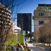 Main Street Garden Dallas Park