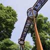 Kew Garden's Tree Top Walkway