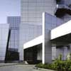 Morphogenesis Project