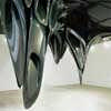 Zaha Hadid Stalacties