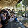 Adelaide Giant Panda Forest design by HASSELL Architects