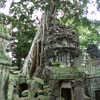 Ta Prohm