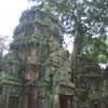 Ta Prohm Cambodia
