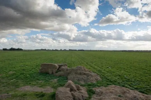 Great Fen Cambridgeshire