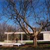 Farnsworth House USA