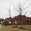 Three-Courtyard Community Center