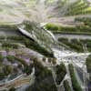 Flowing Gardens