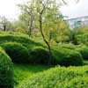 Garden Architecture Symposium - best private plots 2012 entry