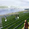 Missing Link Architecture Competition
