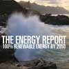 Renewable Energy Report