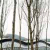 Downland Gridshell Sussex