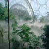 Eden Project Cornwall