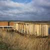 Marshland Discovery Zone Essex