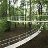 A Path in the Forest Japan