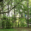 A Path in the Forest Japan