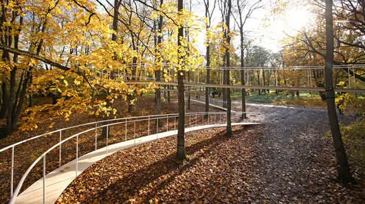 A Path in the Forest - Estonian Architecture