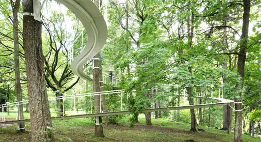 A Path in the Forest