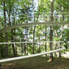 A Path in the Forest Japan