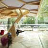 Treehugger Koblenz Germany Pavilion Building