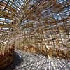 Bug Dome SZHK Biennale