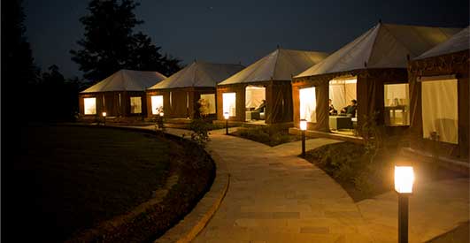 Golden Tusk Resort India