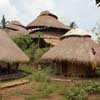 Green School Bali Building