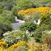 House in Glencree