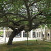 Ben Gurion University buildings Be'er Sheva BGU campus