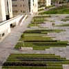 BGU University Entrance Square Be'er Sheva