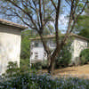 Shoval Kibbutz Negev Buildings