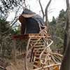 Matsushima Tree House Japan