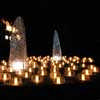 Shining Tree in a sacred place Shiga