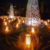 Shining Tree in a sacred place Oji Kusatsuu