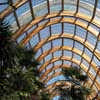 Winter Gardens Sheffield