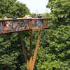 Tree Top Walkway